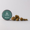 GELATO 46